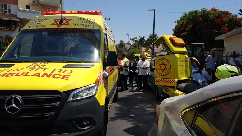 מעריב