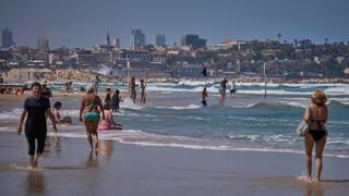 ynet