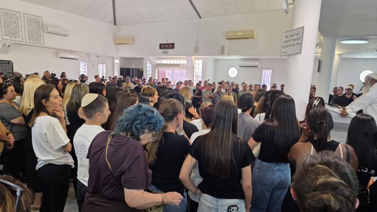 מעריב