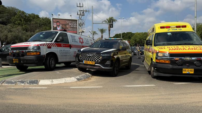 מעריב
