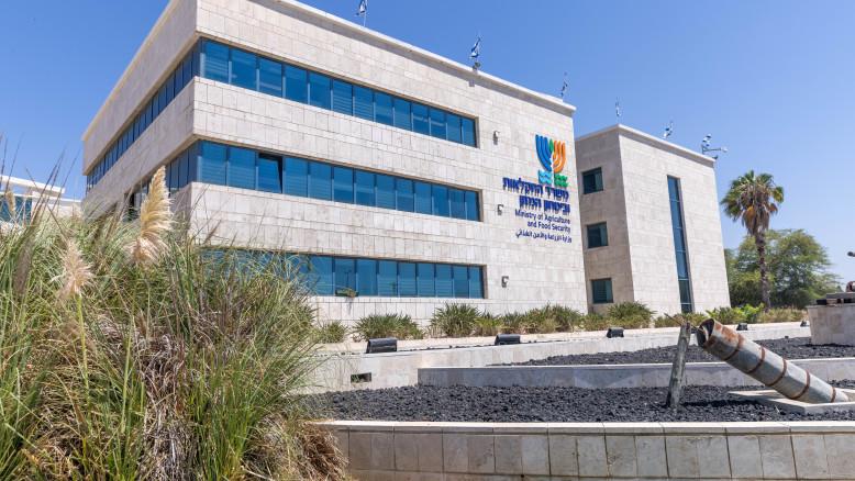 מעריב