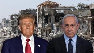 ynet