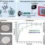 Phys