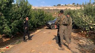 ynet