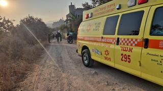 ynet