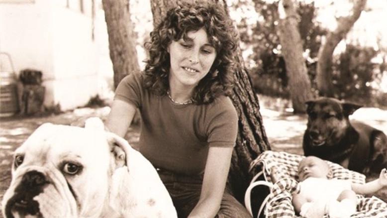 מעריב