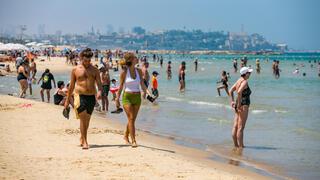 ynet