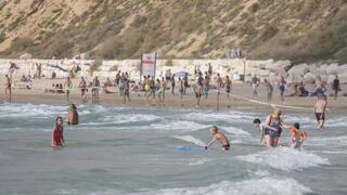 ynet