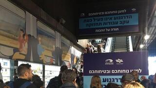 ynet