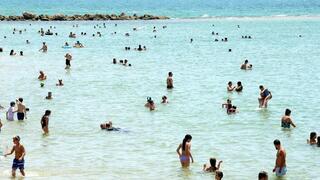 ynet