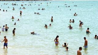 ynet
