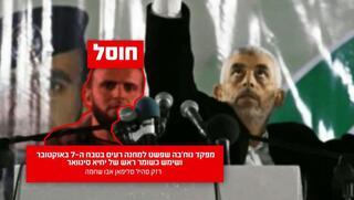 ynet
