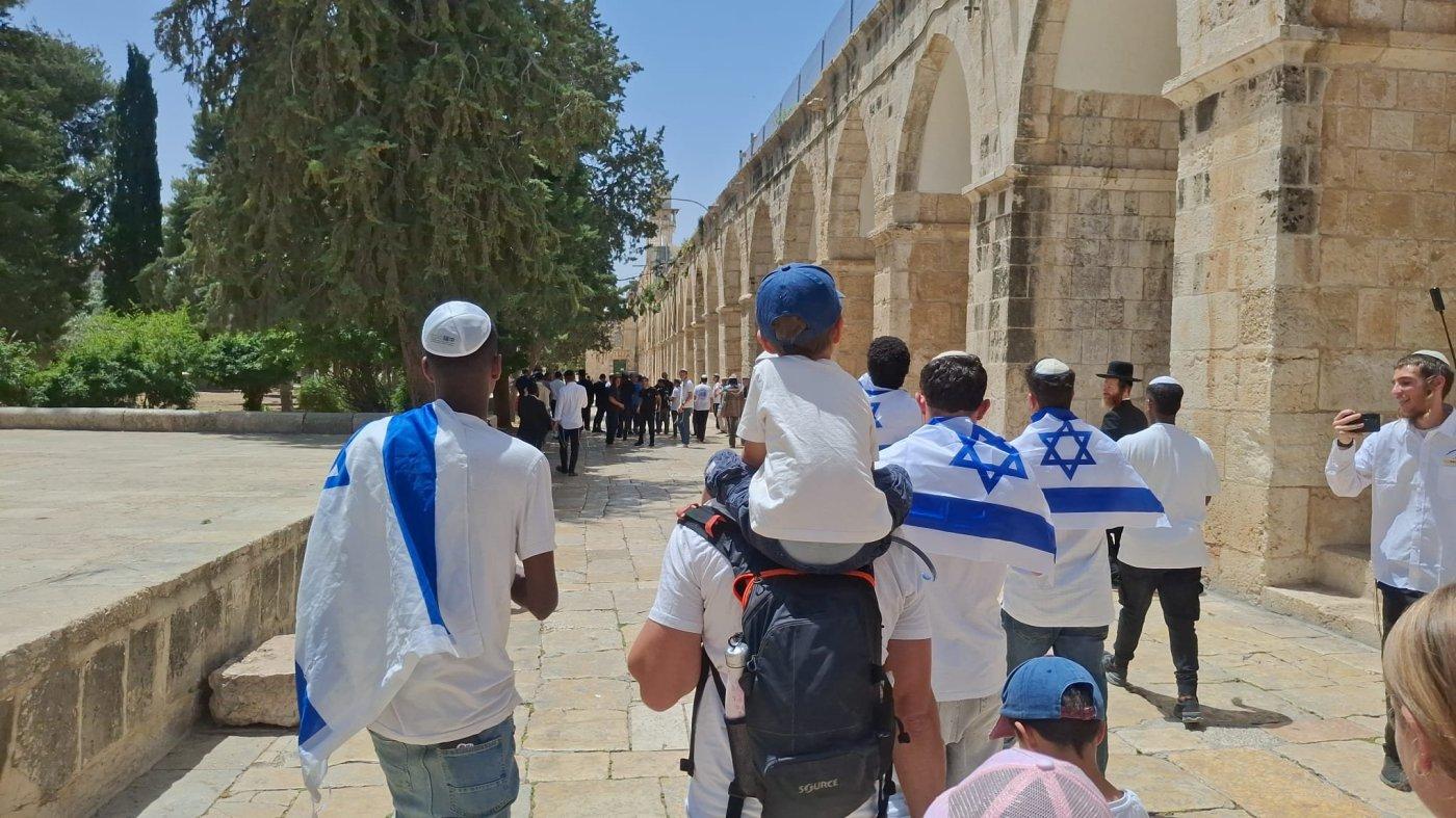 סרוגים