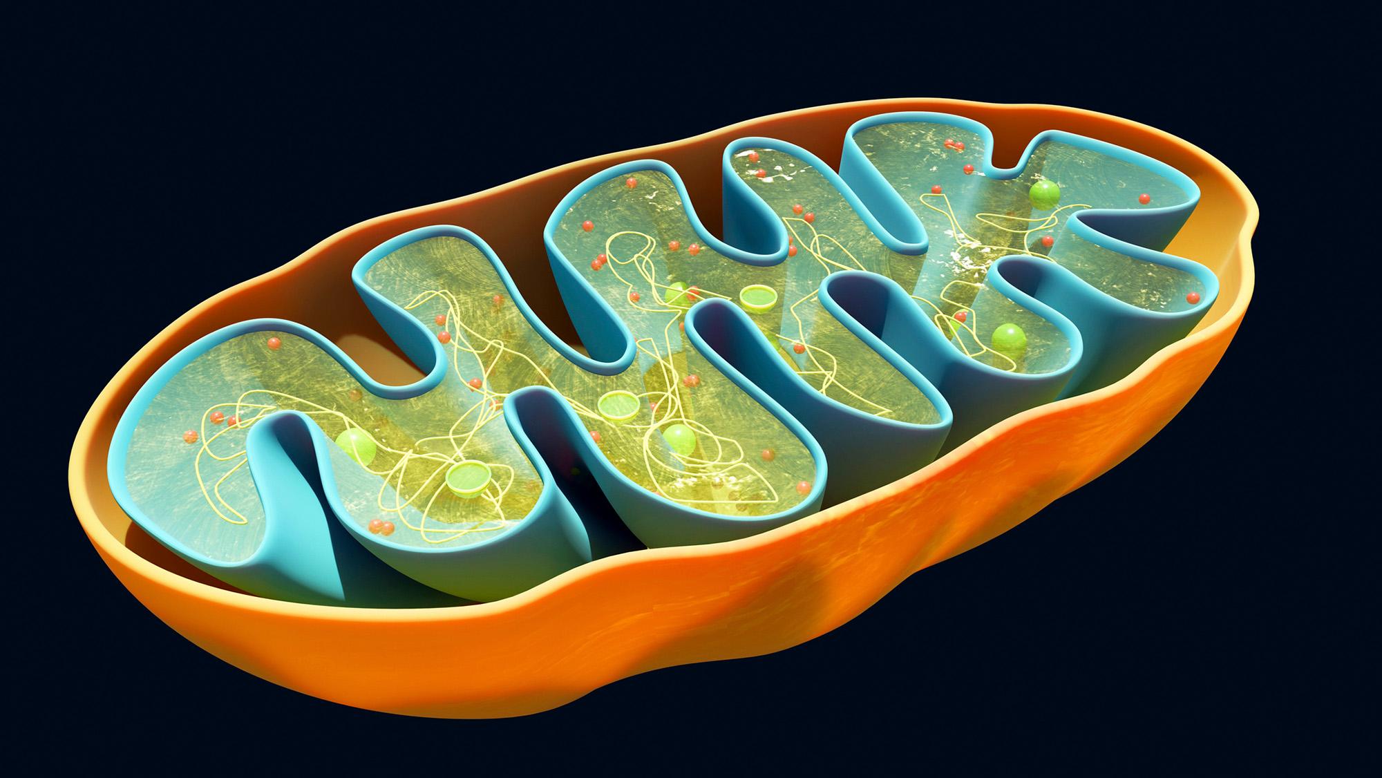 LiveScience