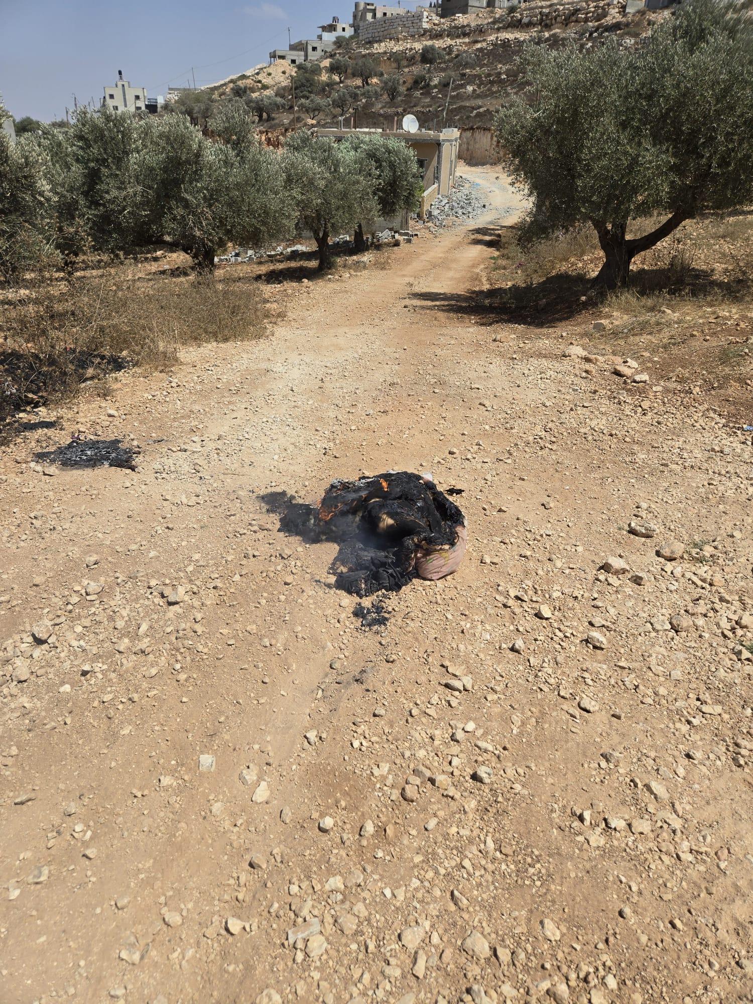 סרוגים