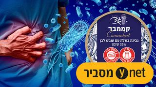 ynet