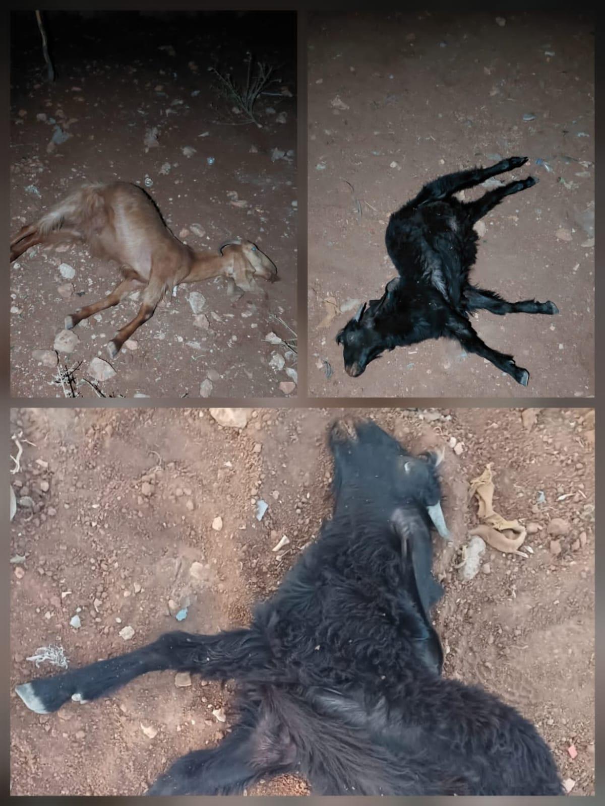 JDN
