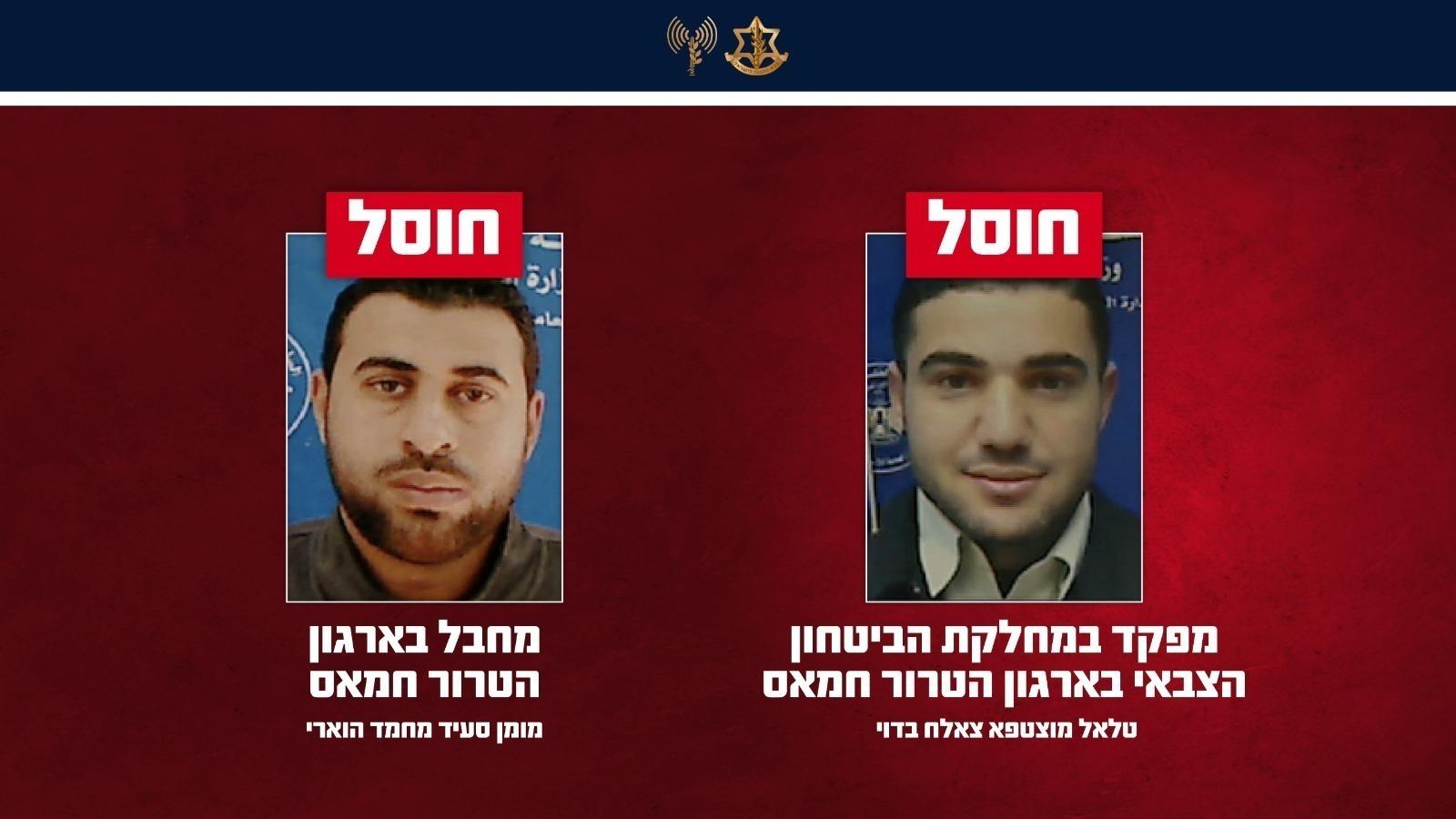 קול חי