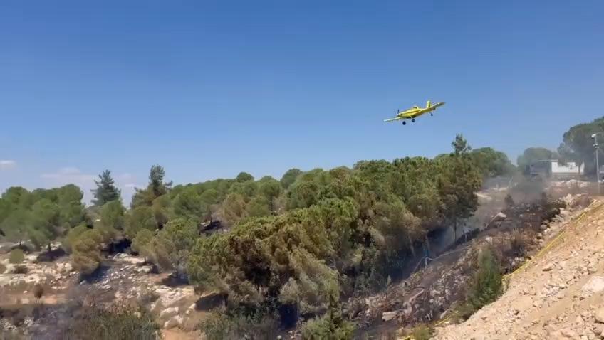 סרוגים