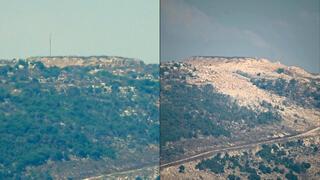 ynet