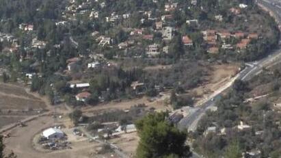 ynet