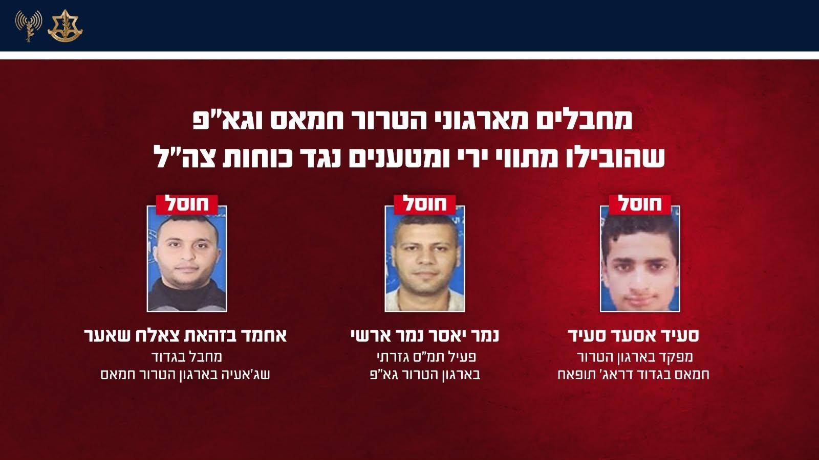 קול חי