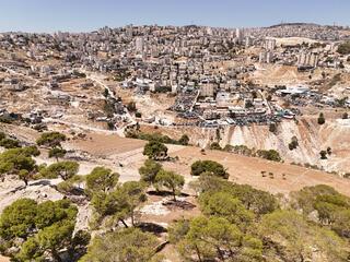 ynet