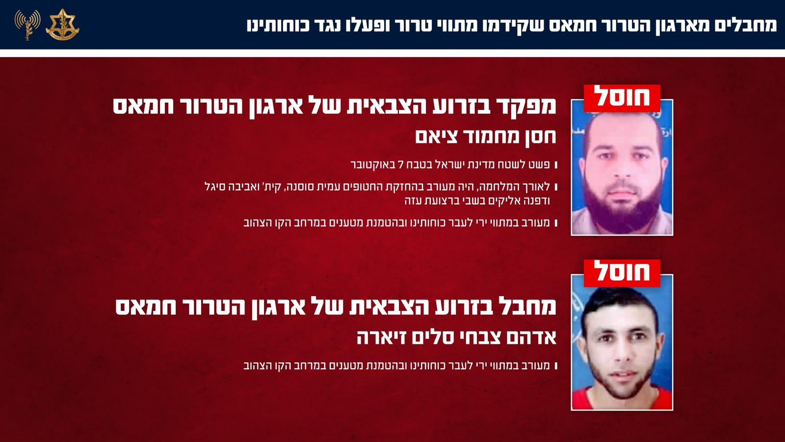 קול חי