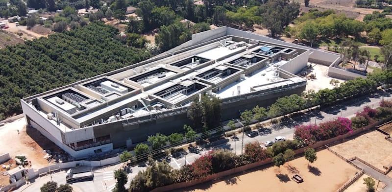 גלובס