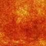 Phys
