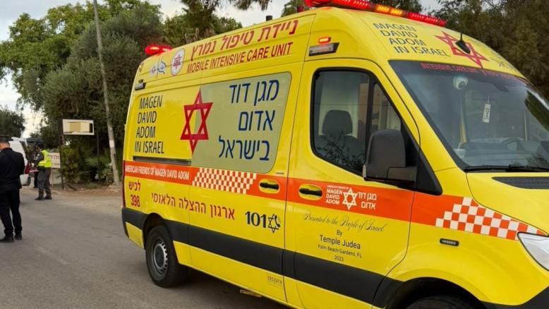 מעריב