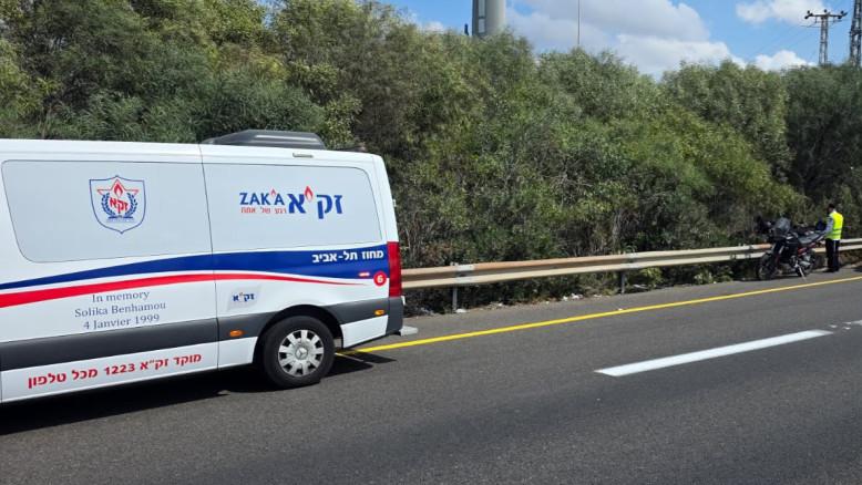 מעריב