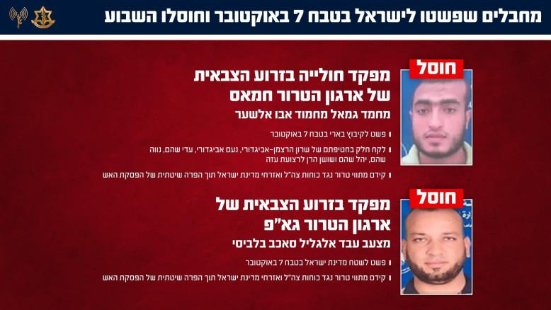 מעריב