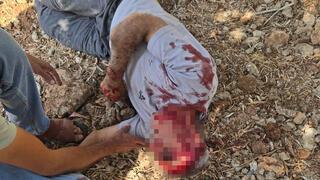 ynet