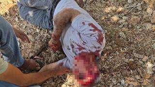 ynet