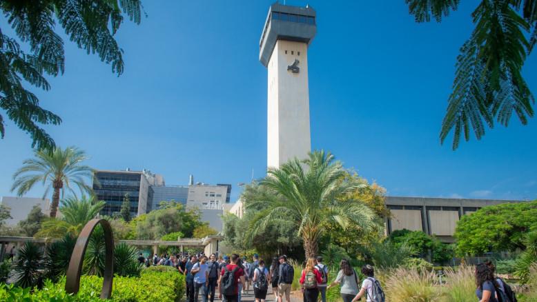 מעריב