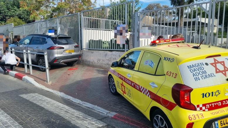 מעריב