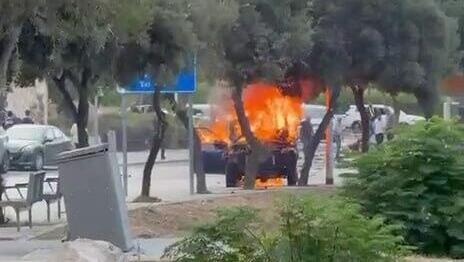 ynet