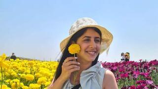 ynet