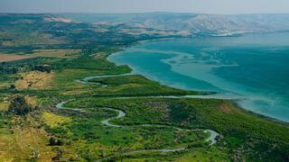 ynet