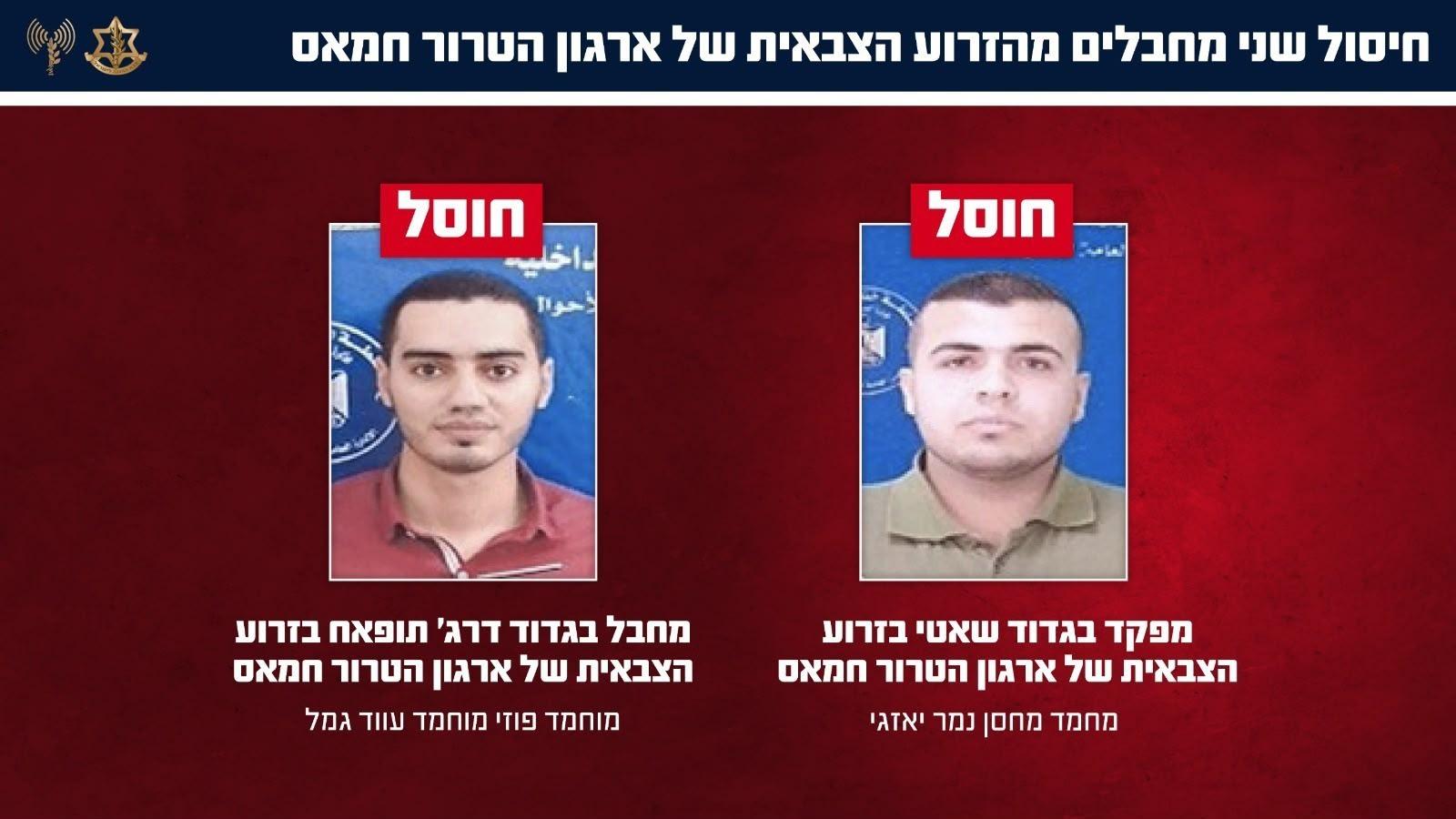 קול חי