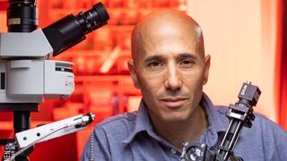 ynet