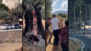 ynet