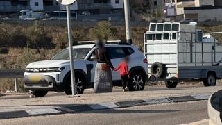 ynet