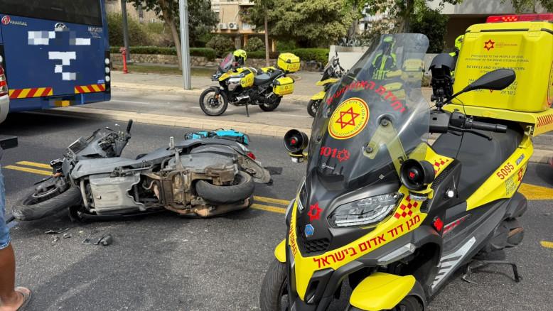 מעריב