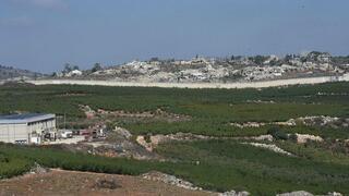 ynet