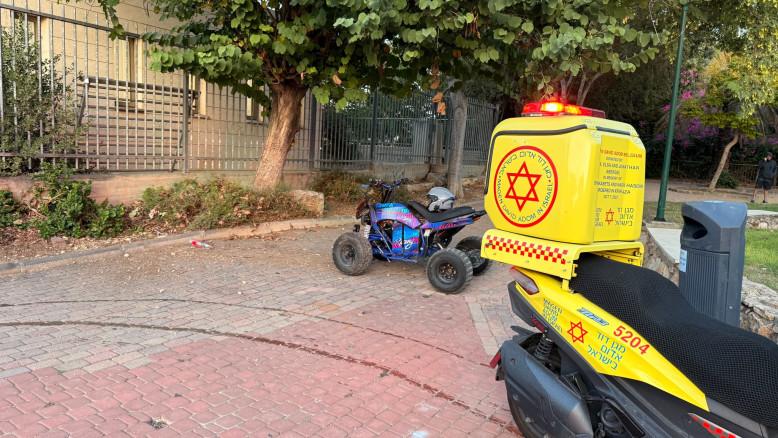 מעריב