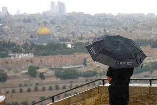 ynet
