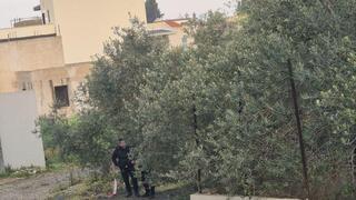ynet