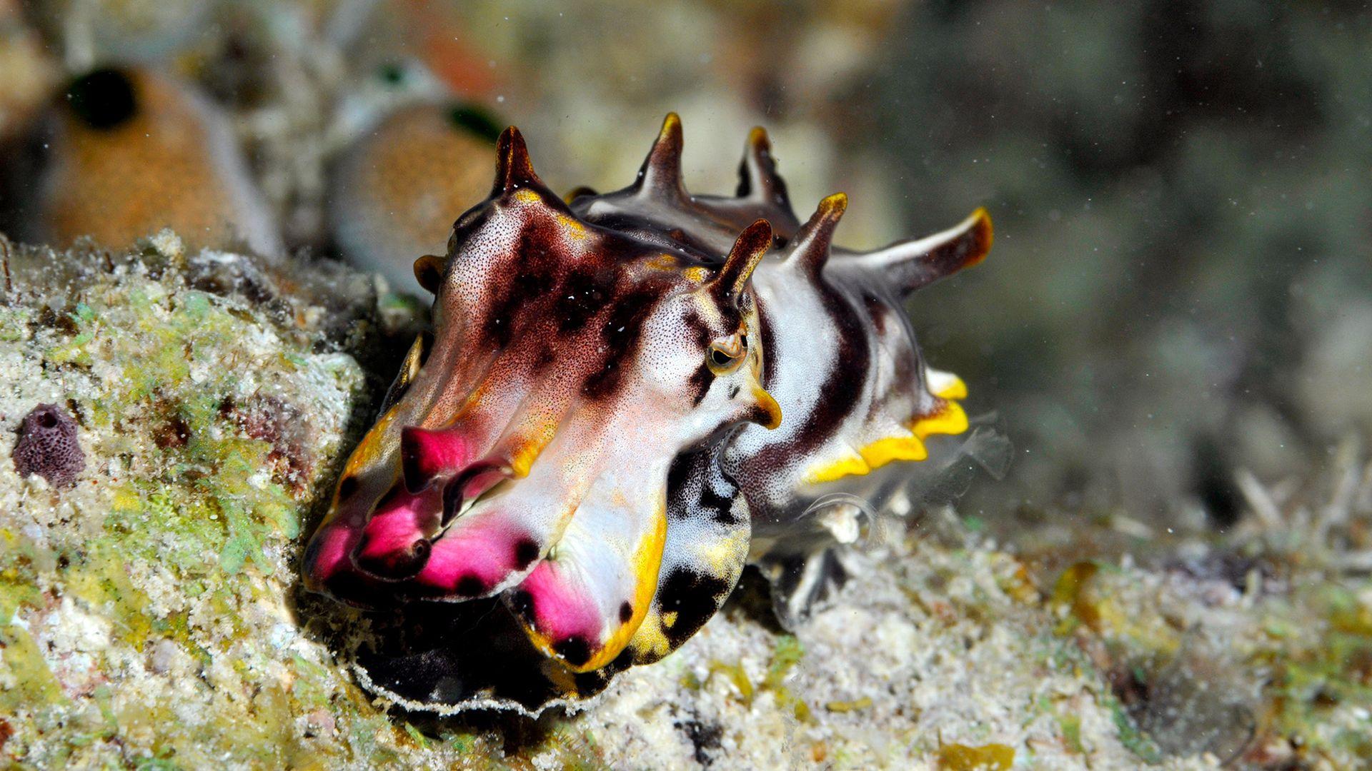 LiveScience